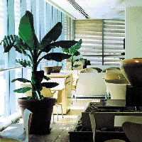 Malasia Airlines - Golden Lounge